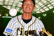 【朗報】鳥谷があと30試合全部で満塁ホームランを打てば30本120打点に達することに気づき震える