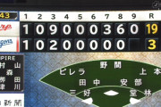 ナゴヤドームで19失点するチームｗｗｗｗｗｗｗｗｗ