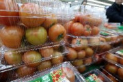 【速報】韓国で病害虫トマトキバガ発見、日本へのトマト輸出は継続