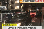 【画像】刺し殺されたJK、めっちゃ美人だった模様…