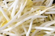 【悲報】もやし、生食できなかった