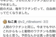 【恐怖】反ワク「うちの犬も狂犬病ワクチン受けさせるのやめました」