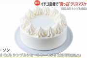 【画像】日本のクリスマスケーキ、限界突破ｗｗｗｗｗ