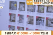 【悲報】東京都が低所得者に無料配布したお米､メルカリで転売される