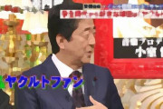 【芸能】ヤクルト連覇、芸能界の燕党・さだまさし、磯山さやかも歓喜！　高橋奎二投手の妻・板野友美は「優勝ーーー」
