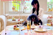 【画像】上級JKさん、1人6000えんのアフタヌーンティーを満喫「ママ、この高級ケーキ美味しすぎっ！」