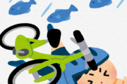 自転車で走ってたら空から何か落ちてきて頭に当たって転んだ ふなけんなよ