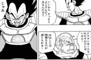 ベジータが許された理由って謎だよな