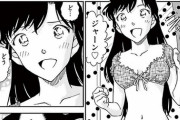 コナンの読者って蘭姉ちゃんのことえちい目で見てるよなｗｗｗｗｗ （※画像あり）