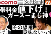 【悲報】西村ひろゆき「ドコモの携帯料金値下げに期待してるヤツさぁ・・・ソフトバンクが参入した時のこと知らないの？」