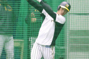 阪神近本が初開幕１番に気合　糸原とコンビで開幕へ