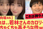 【日向坂46】若林さん…これはカロリーめちゃくちゃ高そうな件ww