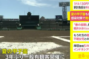 【悲報】高野連「甲子園大会の観戦チケットの値上げをせざるを得ない」