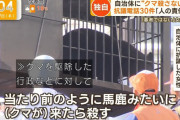 大都会に住んでいて、「クマを殺すな」って抗議 [11/9]