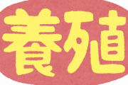 【にわかばっか】寿司通「やはり天然物は美味い、養殖などとは比較にならない旨さだ」←嘘乙ｗｗｗ