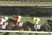 G1を何勝もしてるのに1頭のオープン馬すら出せない繁殖牝馬って何なの?