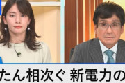 【新電力】お前ら結局電力会社の契約見直したりしたの？？？？？？？
