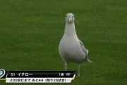 イチロー、鳥人間になる