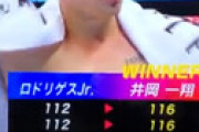 【ボクシング】 井岡一翔 vs ロドリゲス戦の判定が物議 「ロドリゲスが勝ったと思った・・」