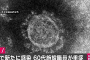 【速報】東京都で60代男性の施設職員が感染で重症　東京の感染者は29人に