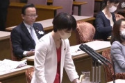 【おまいう】立憲民主党・石垣のりこ「感染拡大防止のためするなするなするなと協力を求めるばかり！伝えられたのはマスク２枚。この２カ月何をしてきた」→二か月前の石垣のりこ