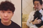 【悲報】星野源さん、安倍首相とのコラボ動画に対して言及ｗｗｗｗ「僕自身や所属事務所に事前連絡や確認は一切ない」
