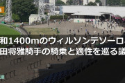 さきたま杯2着のウィルソンテソーロ、川田将雅騎手の騎乗と適性を巡る議論