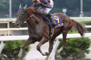 高知競馬のエース、ユメノホノオが韓国遠征ｗｗｗ
