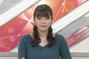 女子アナとかいうニット乳ｗｗｗｗｗｗｗｗ