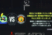 19日の甲子園・阪神－ヤクルト戦中止　台風14号接近に伴い悪天候予想　振替試合の日程は未定