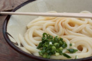 【急募】香川で一番美味しいうどん屋