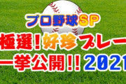 【番宣】12月29日(水)朝6時からプロ野球好珍プレーあるぞ