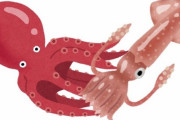 イカとタコさん、めちゃくちゃ知能が高いのに寿命が2～3年のせいで知能の蓄積ができない