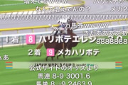 伊奈めぐみ先生、競馬場にハリボテエレジーを連れていく