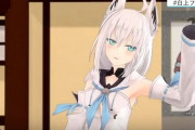 Vtuber 【白上フブキ】中国の荒らしの次のターゲットはフブキに決定したもよう「中国内で一番稼いだのに、俺らのことを蹴り落とし忘れた！」だそうですｗｗｗ