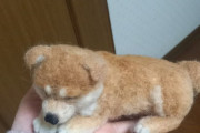 女だけど羊毛フェルトで柴犬つくったら結構可愛くできた（※画像あり）