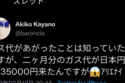 【悲報】ロシアのせいでヨーロッパのガス代が急騰…「10万円超」の請求が相次いでいる模様