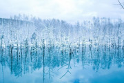 【朗報】北海道の青い池、綺麗すぎる