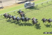 【競馬】メロディーレーン(336kg)3着