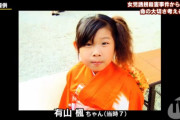 有山楓ちゃん誘拐事件から１５年が経過（２００４年１１月１７日発生）