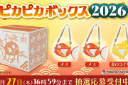 【中身まとめ】「ピカピカボックス2026」4400円で総額◯万円分の超お得な福袋だった