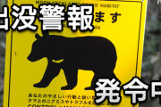 （・(ｪ)・）車から降りたらクマ… 全国でクマ被害相次ぐ どうすれば？