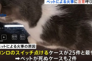 ペットが原因による住宅火災「もふもふプッシュ」にご用心