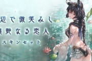 【グラブル】今年もあるのか賢者水着スキン、取得数順で採用されたニーア/アラナン/カイムに続き季節スキンを貰えるのは誰に…！？