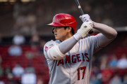 大谷を一人送り込んだら壊滅しそうなスポーツ
