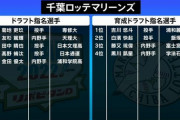 今年のロッテドラフト評価どのぐらい？