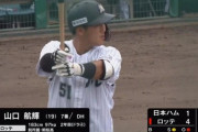 GIF画像　ロッテ、一軍でも二軍でも若手が躍動し始める