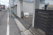 散歩してたらキツネいたwwwwwwwwwwwwwwwwwwwwwwwwwwwwwmwwwwwwwwwwwwwwww