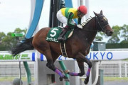 【競馬予想】[2]第22回チャンピオンズカップ(GI) /2021