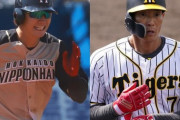 【速報】阪神西川遥輝獲得へｗｗｗｗｗｗｗｗｗｗｗｗｗｗｗｗｗｗｗｗｗ